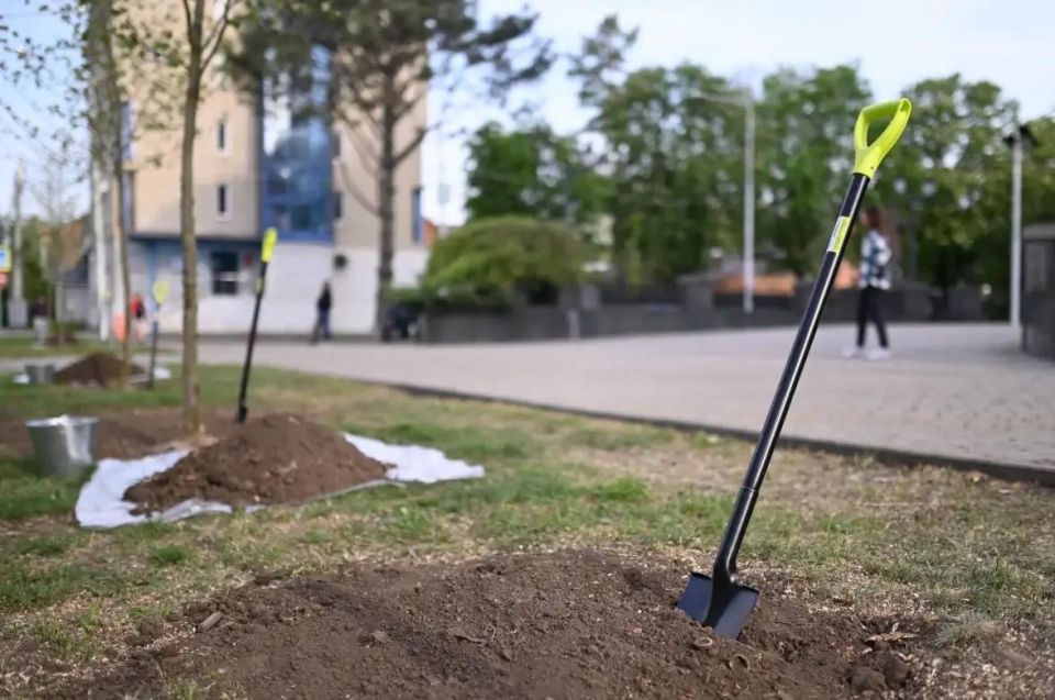 ����� �� ��������������: � ���������� �������� ��� ����� ����