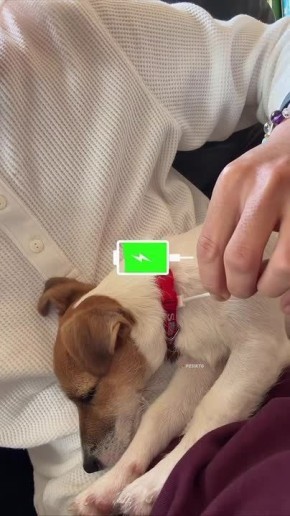 Зарядились на выходных? Тогда врываемся в новую рабочую неделю!