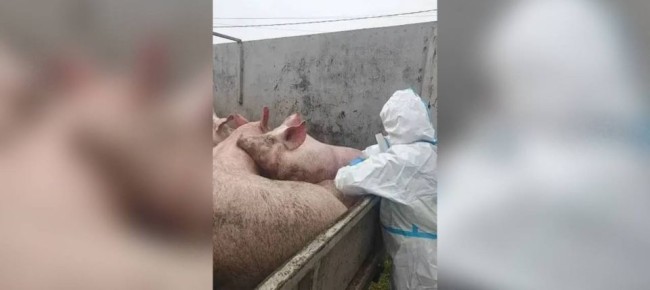 "������" �������� �� ���� ������� �������� �� ������