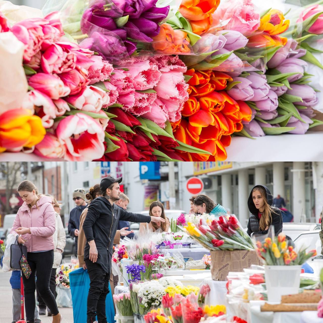 27 цветочных ярмарок откроются в Анапе в преддверии Международного женского дня