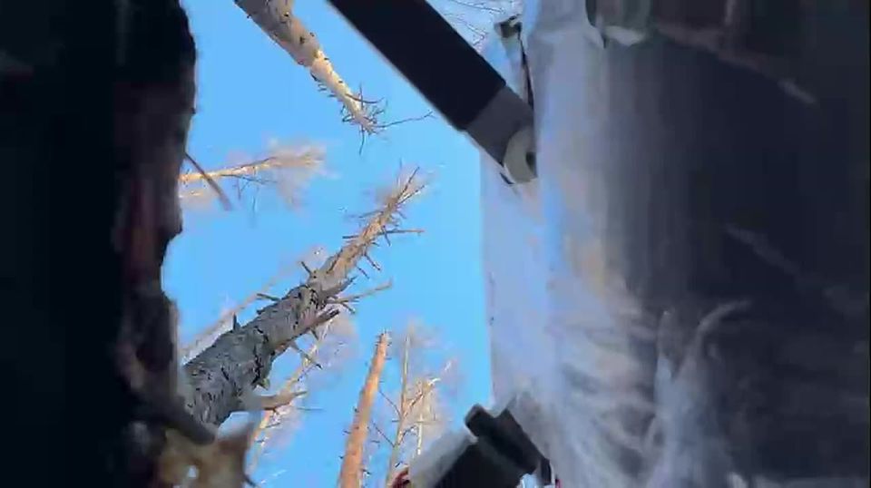 �� �������� � �� ��������� ����: ������� ����������