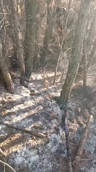 ����������� �������� ������� ������ ����� ��� �����������