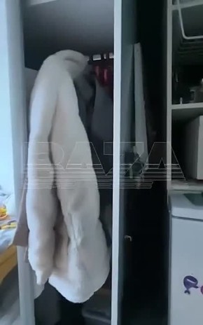 ������������� ������� ������ ���� � ��������� ����������