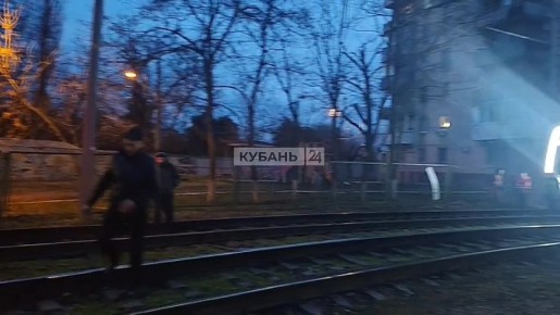 Трамваи встали в Краснодаре из-за легковушки, которая вылетела на пути