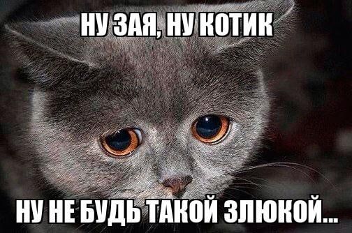 Китайцы перестали использовать милые прозвища вроде «зайка» или «солнышко»