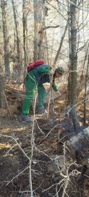 На Кубани потушили лесной пожар в районе Архипо-Осиповки