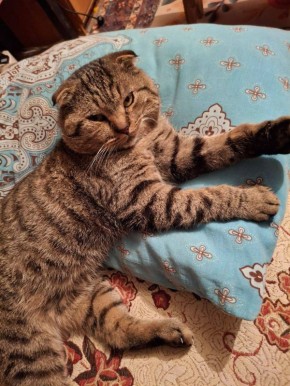 О погоде на 3 марта . В Краснодарском крае переменная облачность