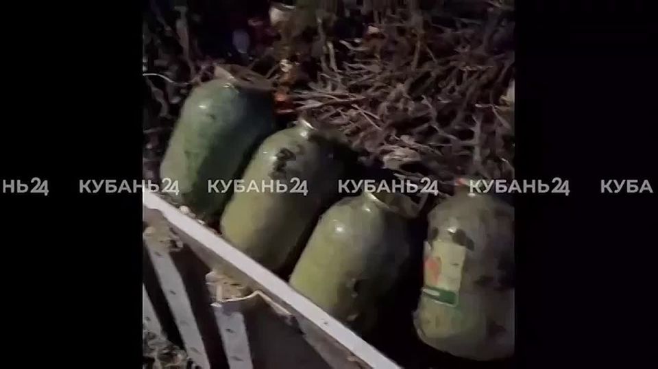 Полицейская собака «помогла» огороднику из Новороссийска, выкопав на участке 6 банок с марихуаной