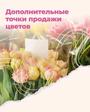 66 точек продажи цветов к 8 Марта дополнительно откроют в Краснодаре