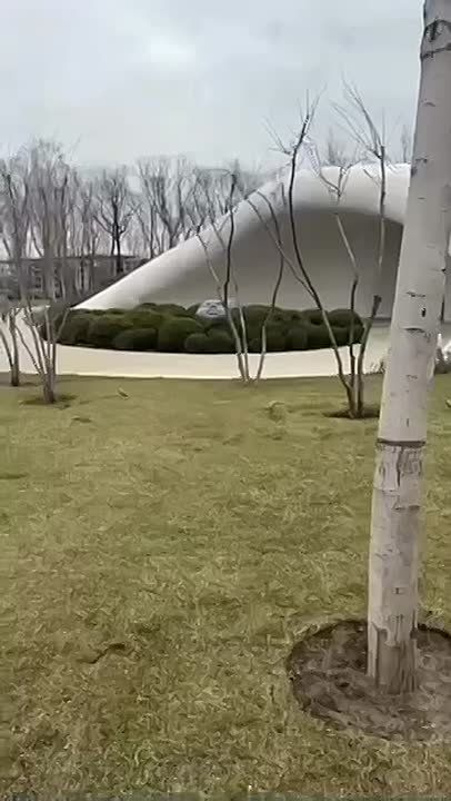 Столько удивительного наснимали