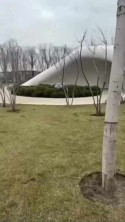 Столько удивительного наснимали