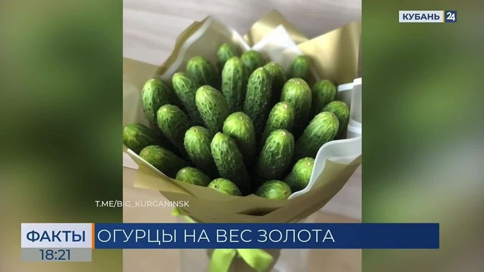 Аналитики рынка: цены на огурцы снизятся, но постепенно