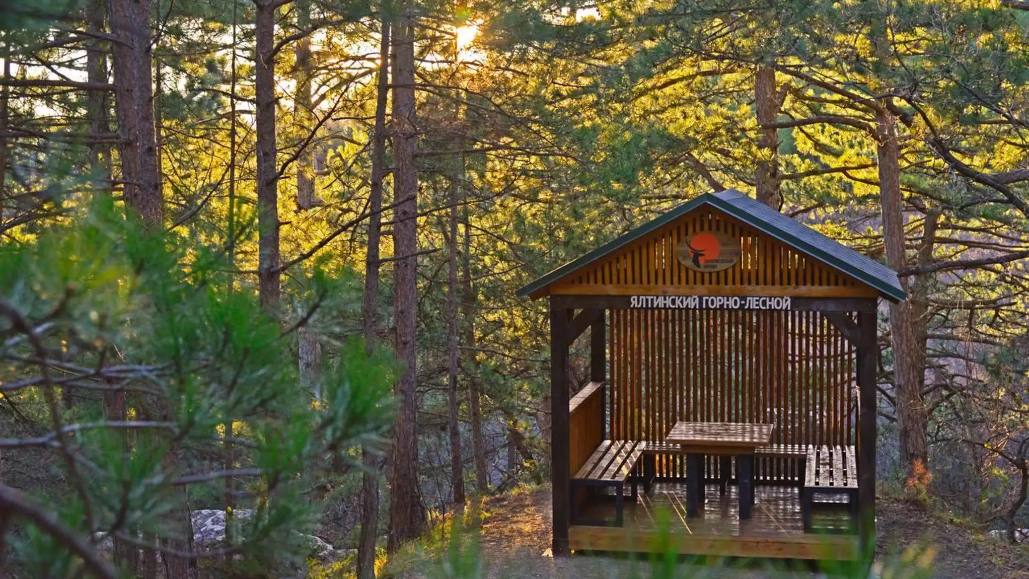 Россияне едут в Большую Ялту за дикой природой – цены в марте