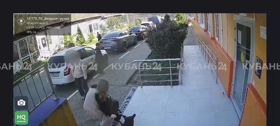 Подросткам пришлось отбивать своих питомцев у стаи бродячих собак в Сочи