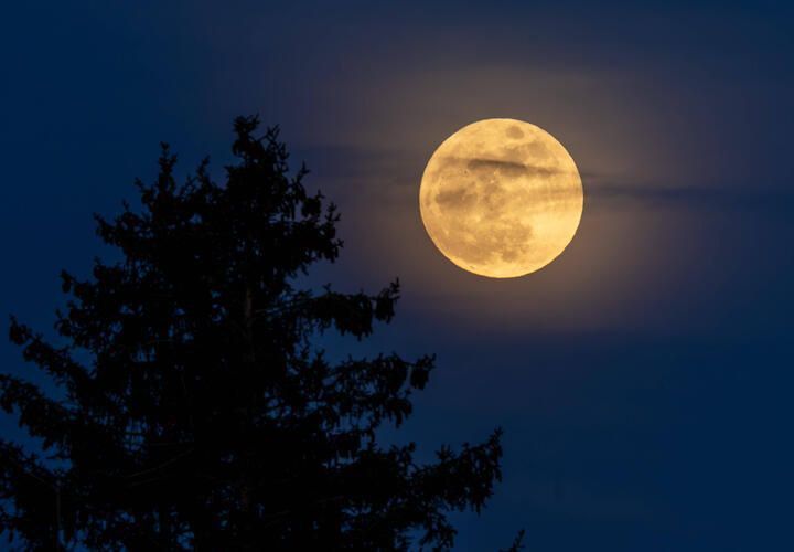 ���� ����������� �� ��������� ��������, � ������� ���� �������� �����������