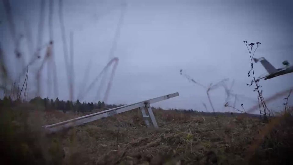 Внеси свой вклад в процветание России