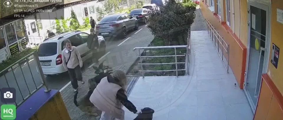 В Сочи стая собак напала на подростка во дворе ЖК «Министерские озёра»