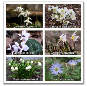 �� ���������� �������������� ���� �������� ������������� �������� ������������