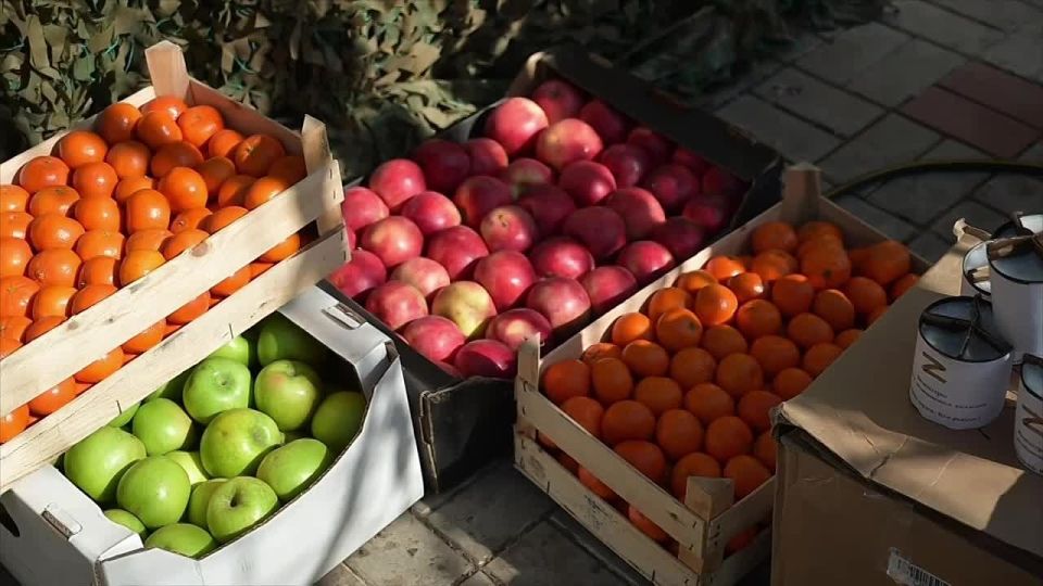 Молодёжка Народного Фронта и Следственный Комитет Запорожской области доставили бойцам на передовую посылки из дома и свежие фрукты