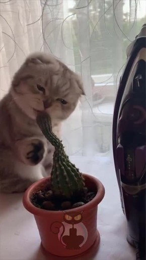 �������� ���������� � �������� �����