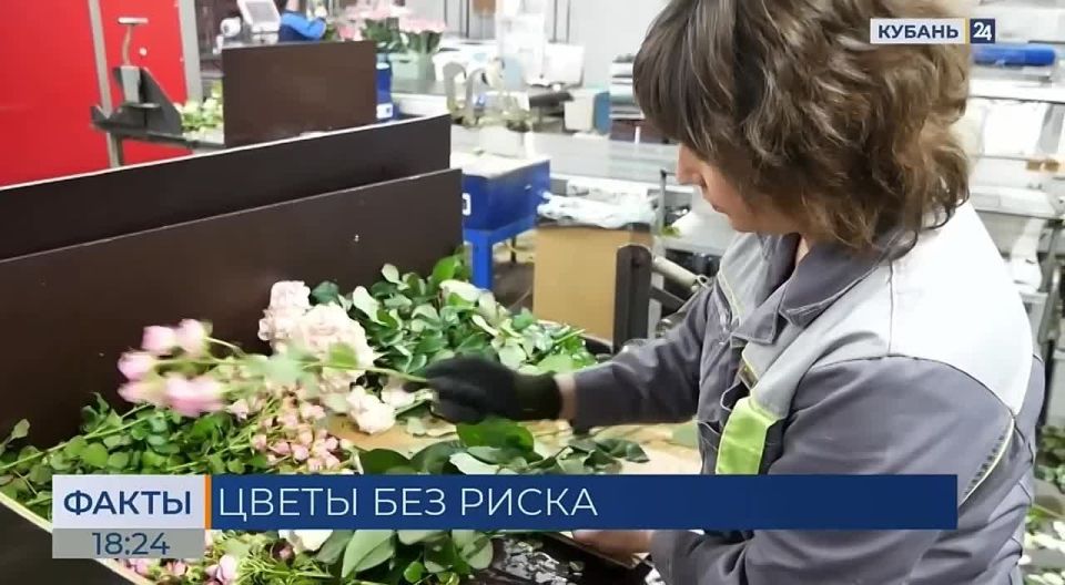 Ветеринары предупредили о самых опасных цветах для домашних животных