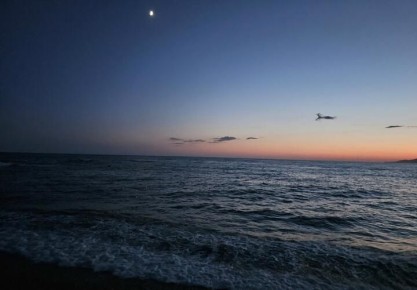 ������ ����� ������������� ��������� �� ���������� ������������ ������ �������������� ����