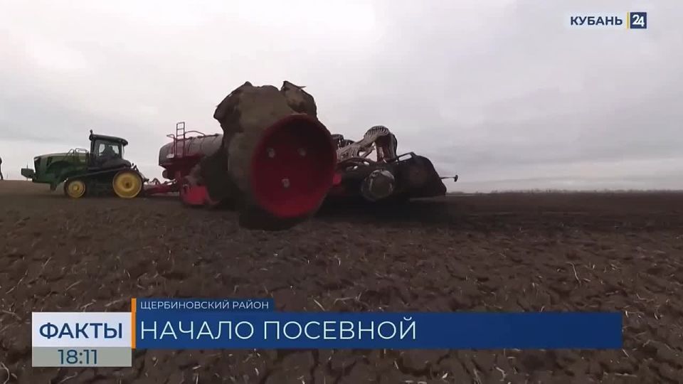 Хозяйства на севере края отказались от сева кукурузы и подсолнечника