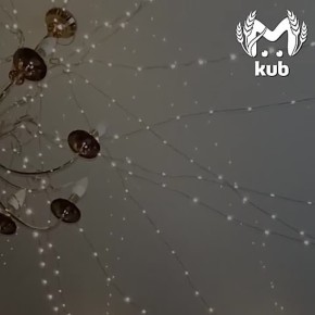 ������ ������������� ������ ����� ������ ����