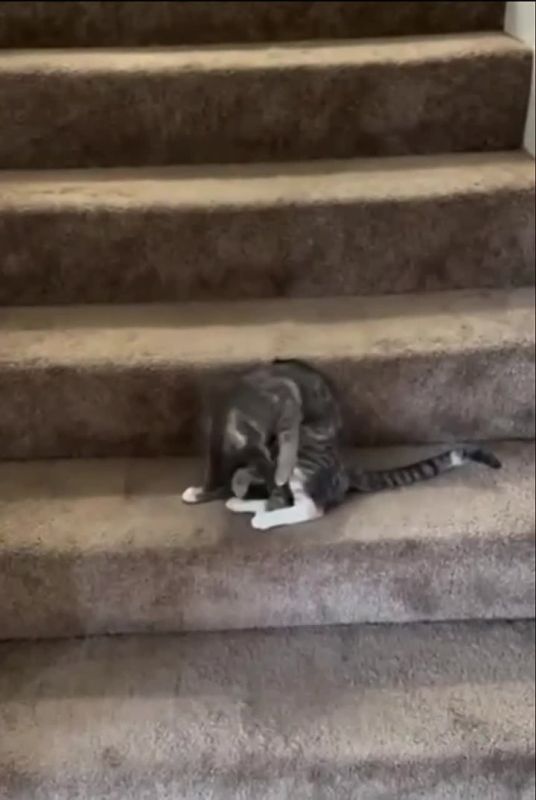 Это админ в пятницу собирается на работу