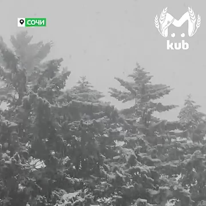 Весенний снегопад заваливает Красную поляну