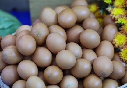 �� ������ ���� �� ���� ������� ����� ����� ������: �� ������ ������� ��������� �� 3,3 ��������