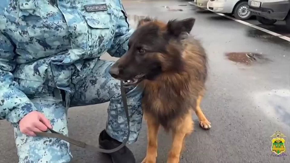 Потерял дом, но нашел работу