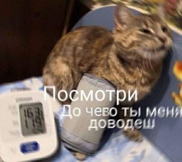 ���������� ���������� ���� �������: ����� � ������ ������� ������� � ���������