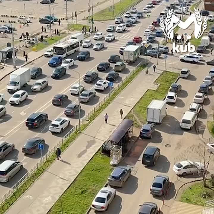 Полуторакилометровая очередь за тюльпанами на 8 Марта — "лучший" подарок на праздник