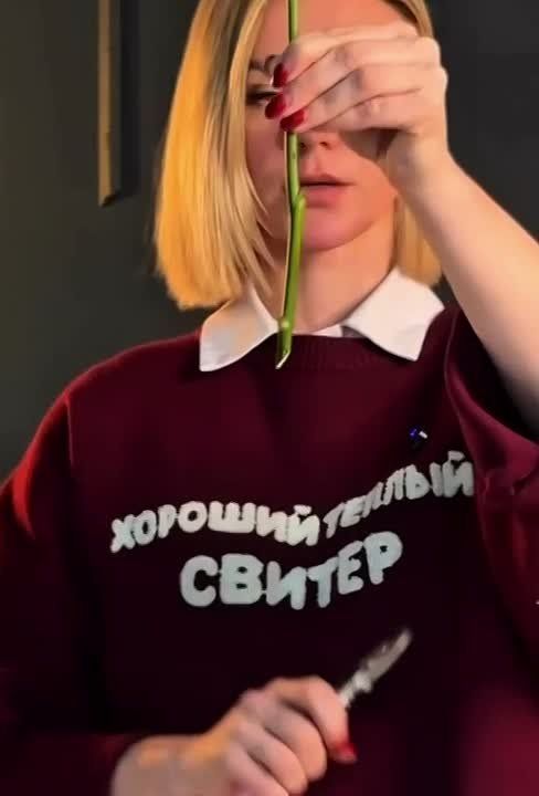 Полезные советы перед 8 марта: как правильно подрезать и хранить цветы, чтобы они прожили максимально долго, рассказали флористы