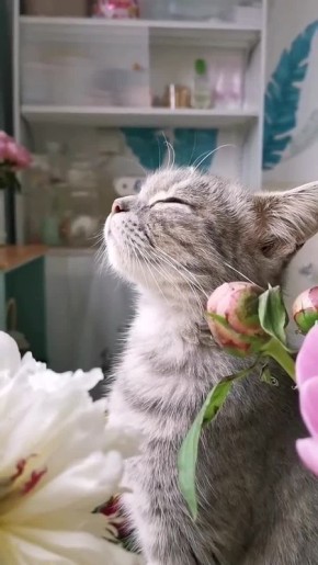 ��������� ���� ���� ��� ���������� �������� ���� � ������������ �����