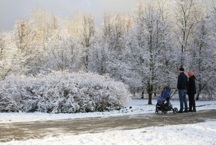 ������� ���������� ����� ������ ������� �� 8 �����