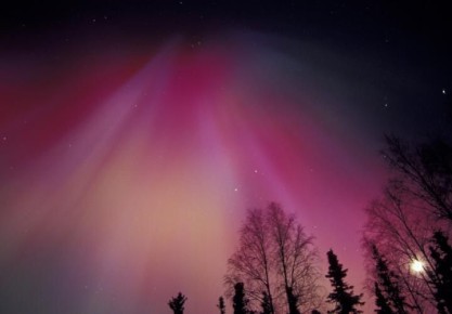 ��������� ������ �������� �������, ������� ���� ��������