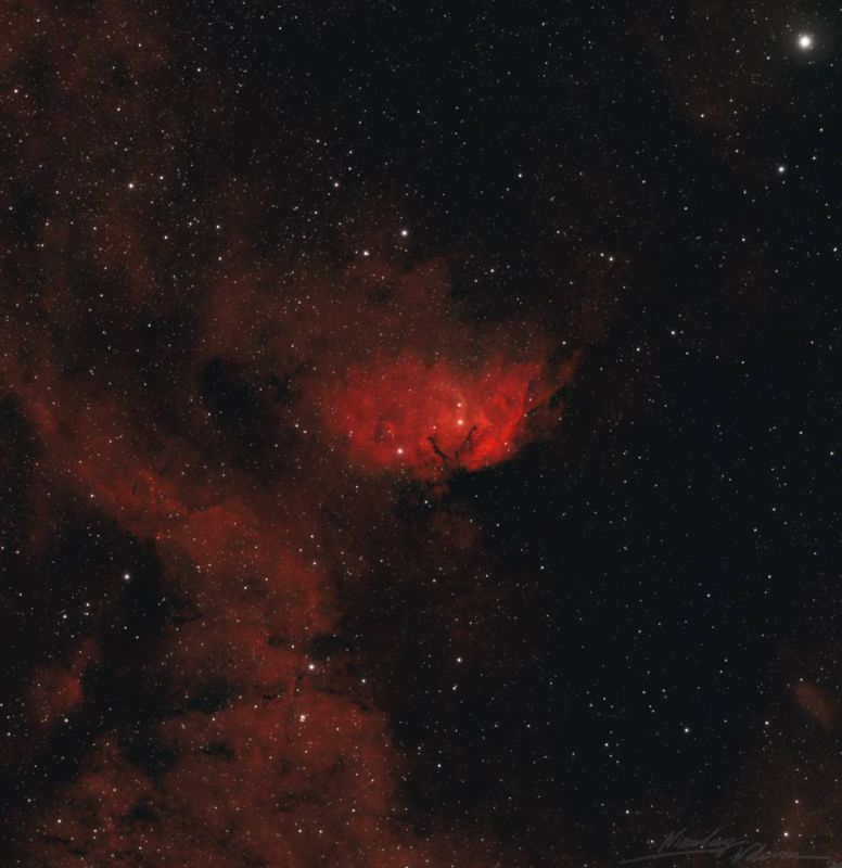 Букет космических «цветов» к 8 марта подарило небо