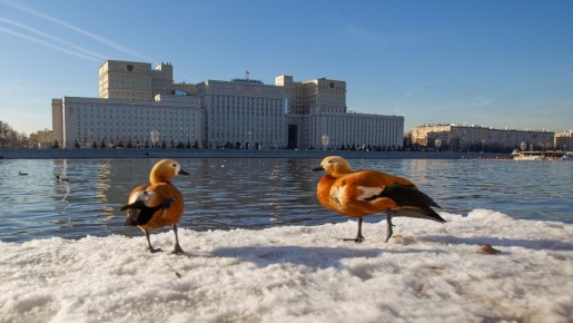 ��� ������� ����� ����� 163 ���������� �����