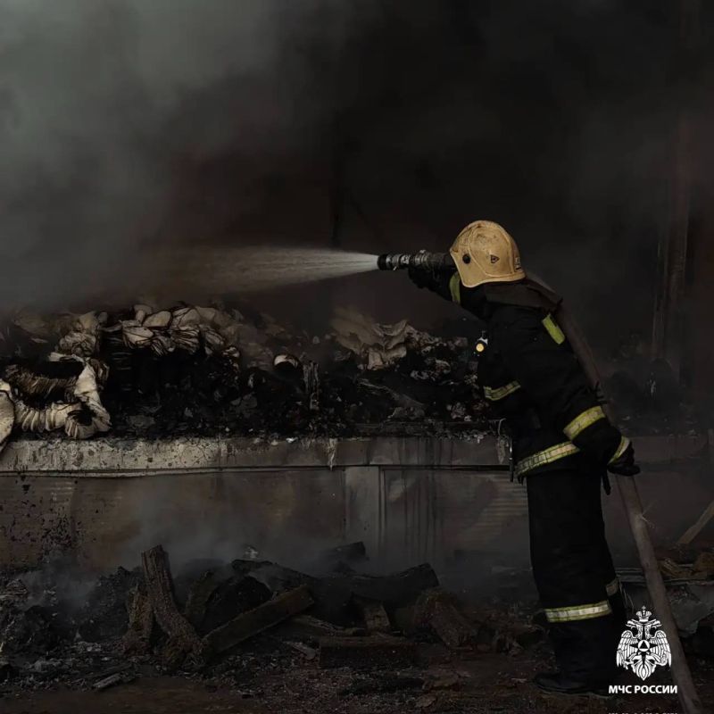 ����� � ���������� ��������� ������������