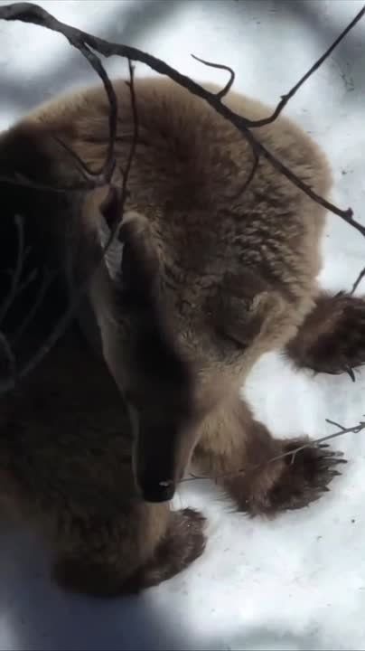 � ��� �� ������������ 10 �����: