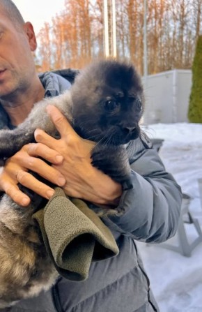 ������: ������������� ����� ������ �� ��������� �����