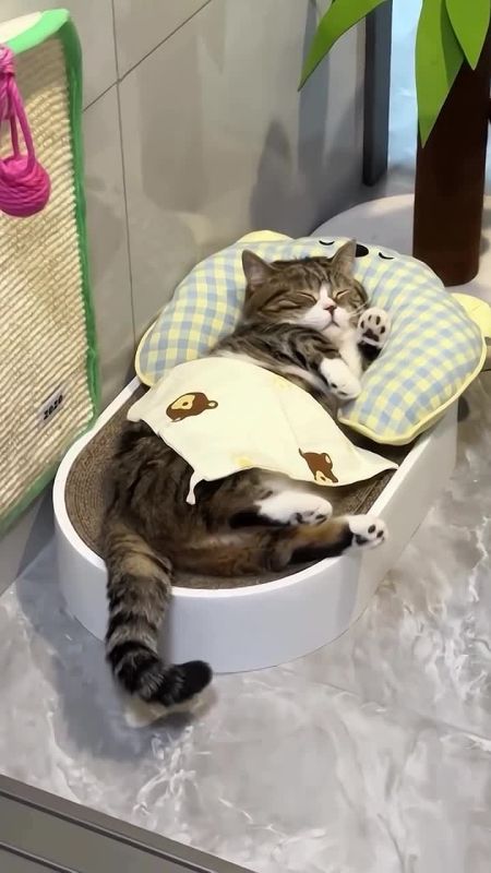 ���������� ������ ��������, ��� ������ ����� � ����� ������� � ������ �� ���� ������� ��� ��������