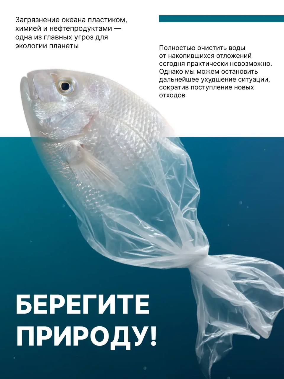 Океан — сердце нашей планеты