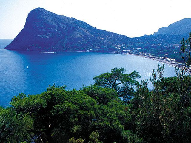 Ученые не ожидают нашествия комаров и клещей на Юге России в 2026 году