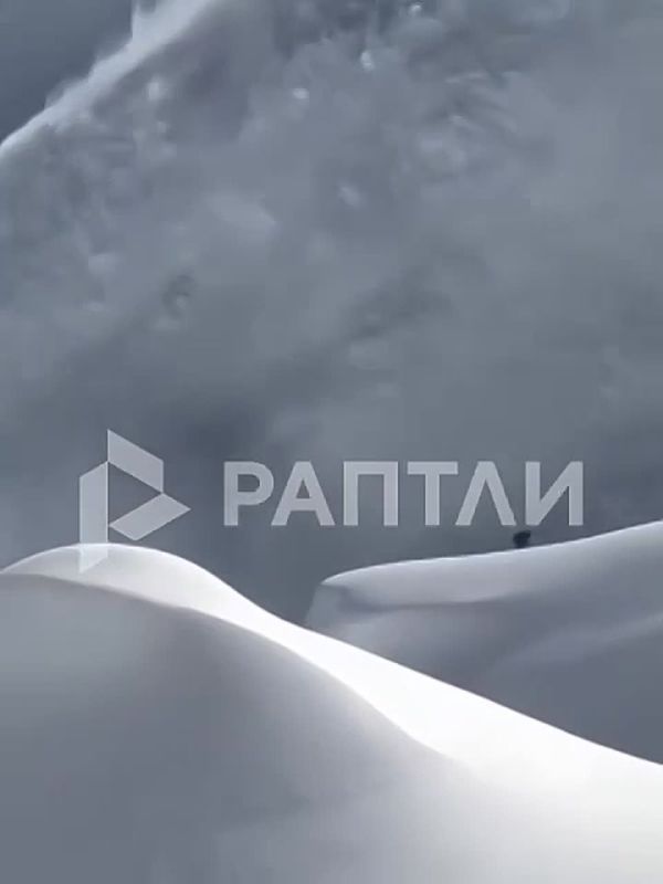 ����������� ����� ���������� ����� ������� � ����� ���� �� ������ � ����� ����