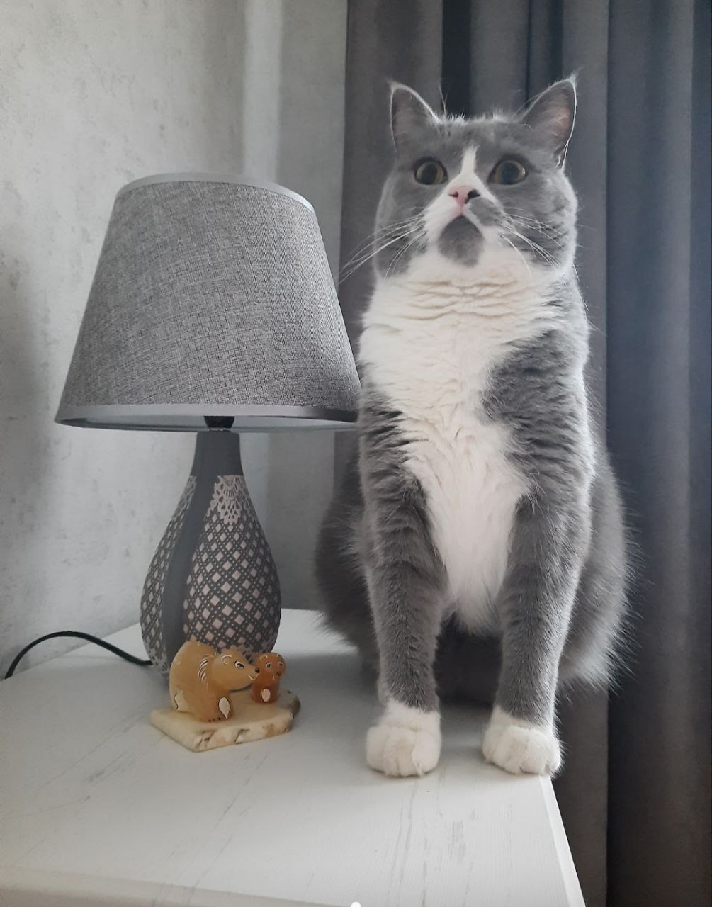 Доброе утро, Кубань!. Краснодар +1…+15 °С