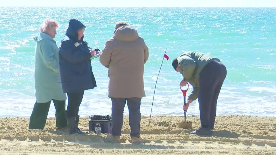 Пробы песка на восстановленной части пляжа в Витязево взяли специалисты Роспотребнадзора