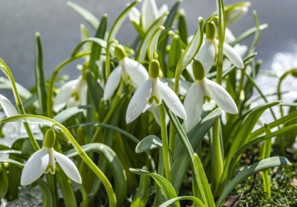 ������ ������ � ����� ��� ������: ��������� ��������� � ��������� �� ���� �����������. �� ������ ������ ��������� �����